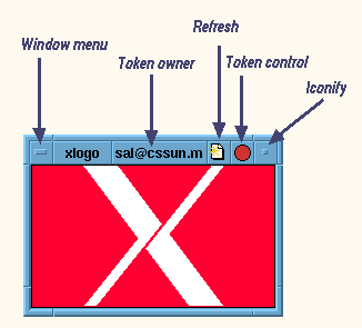 Application Window within CCSM